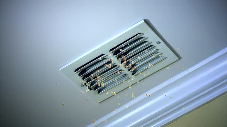 Best Best Air Duct Cleaning Company  in Bernice, LA
