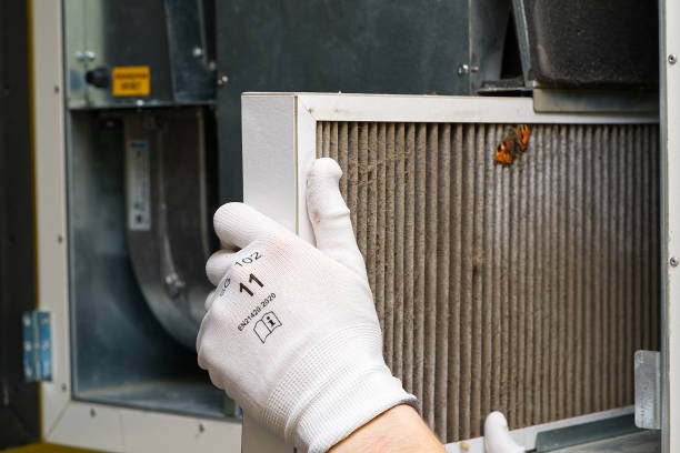 Best Emergency Air Duct Cleaning  in Bernice, LA