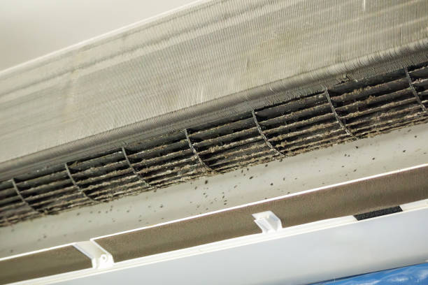 Best Residential Air Duct Cleaning  in Bernice, LA